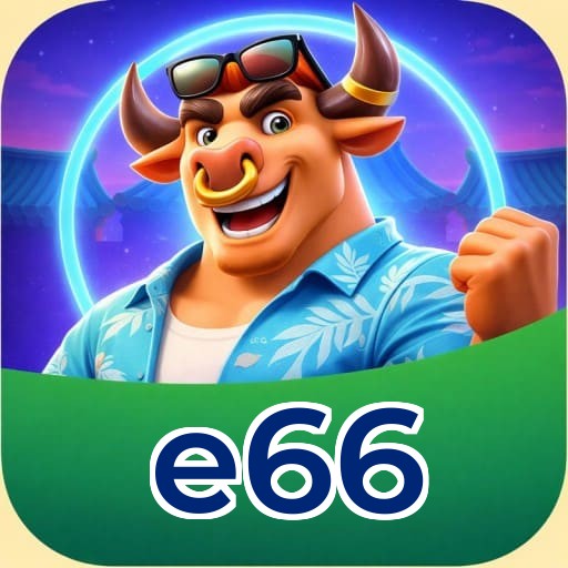 FAQ e66 Brasil